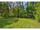 Green backyard featuring tropical trees and manicured lawn at 12525 Sparkleberry Rd, Tampa, FL 33626