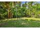 Expansive backyard with mature trees and lush landscaping offers privacy and plenty of space at 12525 Sparkleberry Rd, Tampa, FL 33626