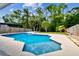 Beautiful backyard pool with a sun shelf surrounded by lush trees and landscaping at 12525 Sparkleberry Rd, Tampa, FL 33626