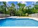Backyard pool surrounded by mature trees and grass, offering privacy and a natural setting at 12525 Sparkleberry Rd, Tampa, FL 33626