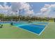 Well-maintained tennis and pickleball courts with lighting for evening play at 1318 Crimson Clover Ln, Wesley Chapel, FL 33543
