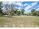 Large, grassy backyard with mature trees and a wood privacy fence at 34796 Hibiscus St, Dade City, FL 33525