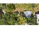 Aerial view of a lush property with mature trees, a well-maintained roof, and a serene outdoor space at 1591 S Prospect Ave, Clearwater, FL 33756