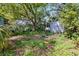 Overgrown backyard with mature trees, ground cover, shed, and plenty of room for gardening at 1591 S Prospect Ave, Clearwater, FL 33756