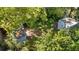 Aerial view of a leafy backyard featuring lush plants, mature trees, and storage sheds at 1591 S Prospect Ave, Clearwater, FL 33756