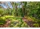 Lush backyard garden boasts mature trees and foliage creating a serene and private space at 1819 Bella Casa Ct, Tampa, FL 33618