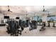Well-lit community gym featuring a variety of exercise machines and equipment for a complete workout at 29477 Velletri Ln, Wesley Chapel, FL 33543