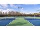 Multiple community tennis courts with blue and green surface and lighting for evening play at 29477 Velletri Ln, Wesley Chapel, FL 33543