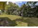 Lush backyard with mature trees and well-maintained lawn create a private and serene outdoor space at 2955 Briar Cliff Dr, Palm Harbor, FL 34684