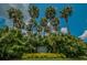 Lansbrook Commons entrance showcasing palm trees and lush landscaping, welcoming residents at 4693 Aylesford Dr, Palm Harbor, FL 34685
