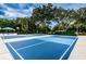 Enjoy a vibrant blue community pickleball court with shaded picnic area and basketball hoop surrounded by lush landscaping at 4693 Aylesford Dr, Palm Harbor, FL 34685