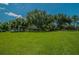 Spacious grassy field with volleyball net, perfect for outdoor activities and recreation at 4693 Aylesford Dr, Palm Harbor, FL 34685