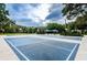 Community sports courts featuring basketball and volleyball, with picnic tables and shade at 4693 Aylesford Dr, Palm Harbor, FL 34685