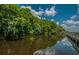 Scenic waterfront view showcasing lush greenery reflecting on the serene waters of the lake at 4693 Aylesford Dr, Palm Harbor, FL 34685