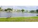 Picturesque view of a tranquil pond with ducks and surrounding apartments in a serene setting at 5850 21St N St # 12, St Petersburg, FL 33714