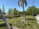 Picturesque pond bordered by trees, green grass, and a palm tree, creating a serene outdoor setting at 6221 13Th N Ave, St Petersburg, FL 33710