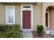 Close-up of a front door, complemented by lush greenery and a tidy walkway at 7029 White Treetop Pl, Riverview, FL 33578