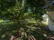 A spacious backyard features mature trees, offering plenty of shade at 12202 Meadowbrook Ln, Hudson, FL 34667