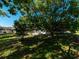 A spacious backyard features mature trees, offering plenty of shade at 12202 Meadowbrook Ln, Hudson, FL 34667