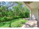 Backyard view showing the lush greenery with a patio and privacy at 1353 Curlew Rd, Dunedin, FL 34698