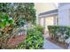 Landscaped front yard with lush greenery and a walkway leading to the entrance at 1353 Curlew Rd, Dunedin, FL 34698