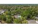Expansive aerial view of a private residence featuring a backyard pool surrounded by mature trees and lush landscaping at 1591 Chestnut W Ct, Palm Harbor, FL 34683