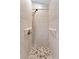Tiled shower with safety bars and bronze shower head in neutral tones at 1591 Chestnut W Ct, Palm Harbor, FL 34683