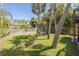 Spacious backyard featuring a lush lawn, mature palm trees, and a seating area for outdoor enjoyment at 224 Ontario Ave, Crystal Beach, FL 34681
