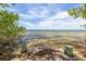 Scenic view of tranquil waters framed by lush trees and clear skies, ideal for relaxing by the beach at 224 Ontario Ave, Crystal Beach, FL 34681
