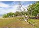 Scenic view of a park featuring trees, a bench, and waterfront views at 224 Ontario Ave, Crystal Beach, FL 34681