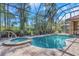 Screened-in pool and hot tub surrounded by lush landscaping, offering a private outdoor retreat at 2630 Grand Lakeside Dr, Palm Harbor, FL 34684