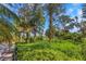 Verdant, lush landscaping with palms and trees surrounding the property at 2630 Grand Lakeside Dr, Palm Harbor, FL 34684