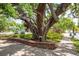 Picturesque park view featuring mature trees, brickwork, and a peaceful pathway at 333 Acropolis Dr, Dunedin, FL 34698