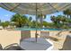 Refreshing swimming pool surrounded by lounge chairs, tables and landscaped with many palm trees at 4681 1St Ne St # 306, St Petersburg, FL 33703