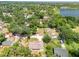 Aerial view of a beautiful home close to the lake and near mature trees and greenery at 513 Tweed Ave, Seffner, FL 33584