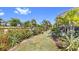 Well maintained backyard with healthy green grass, palm trees, and colorful blooming plants at 5239 Admiral Pointe Dr, Apollo Beach, FL 33572