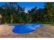 Backyard view of pool, tropical landscaping, and in-ground hot tub at 556 21St Ne Ave, St Petersburg, FL 33704