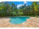 Private backyard pool surrounded by tropical landscaping, offering a serene and refreshing outdoor space at 556 21St Ne Ave, St Petersburg, FL 33704