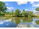 Gorgeous water view with reflections of the sky and trees at 7336 Cherry Laurel Dr, Port Richey, FL 34668