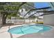 Backyard pool with a screened in porch at 930 Balsamina Dr, Brandon, FL 33510