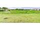 Expansive grassy backyard offers plenty of room for outdoor activities and relaxation at 10822 Verawood Dr, Riverview, FL 33579