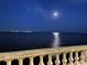 Calm nighttime water view with full moon and city lights reflecting off the tranquil water at 1403 W Watrous Ave, Tampa, FL 33606