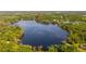Wide aerial view shows a lakefront property with a beautiful serene lake, mature trees and private docks at 18132 Oakdale Rd, Odessa, FL 33556