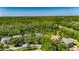 An aerial view highlighting a home with a pool, surrounded by mature trees and a vibrant neighborhood at 21744 Waverly Shores Ln, Land O Lakes, FL 34637
