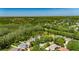 Aerial view showing the home's location in a lush, green neighborhood near a lake at 21744 Waverly Shores Ln, Land O Lakes, FL 34637