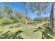Spacious backyard offering a tranquil view with lush greenery and mature trees at 21744 Waverly Shores Ln, Land O Lakes, FL 34637