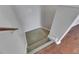 Carpeted stairs with wood railing leading from hardwood floor to the next level at 21744 Waverly Shores Ln, Land O Lakes, FL 34637