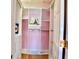Walk-in closet with custom shelving, designed for efficient organization at 441 Lucerne Ave, Tampa, FL 33606