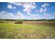 Expansive backyard with lush green grass and a beautiful natural landscape under sunny skies at 5214 Lake Venice Dr, Wimauma, FL 33598