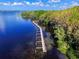 Aerial view of a community dock on a blue lake surrounded by lush green trees and landscape at 5460 Millbrook Way, Palm Harbor, FL 34685